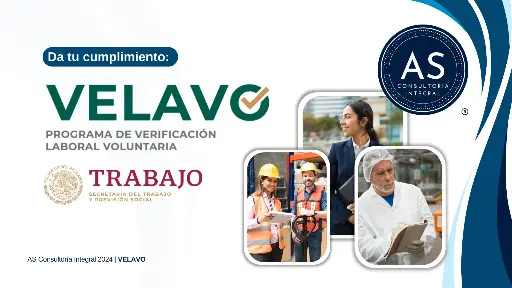 VELAVO: Programa de verificación laboral voluntaria